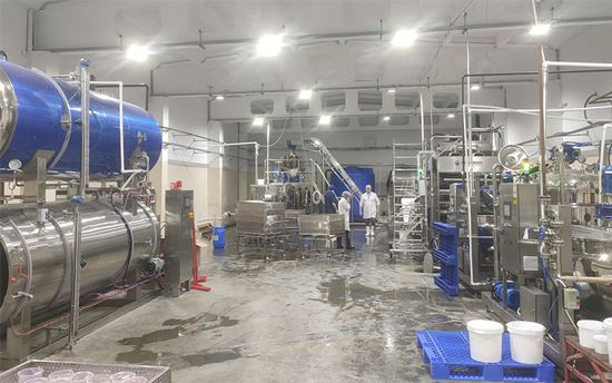 Ligne de Production de Perles Popping Boba en Russie
